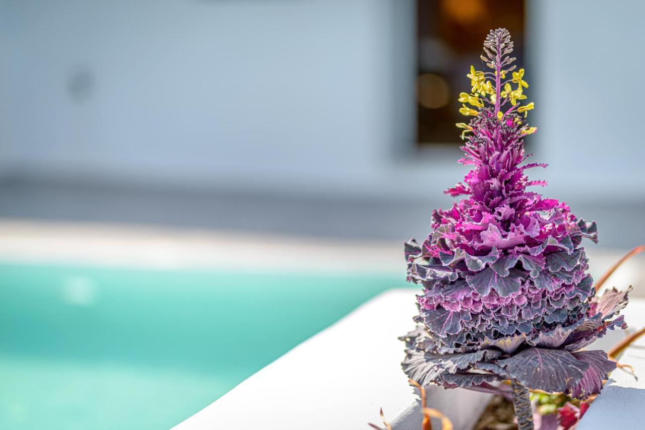 Siete Mares Luxury Suites Imerovigli  Bagian luar foto